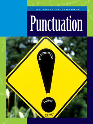cover image of Punctuation